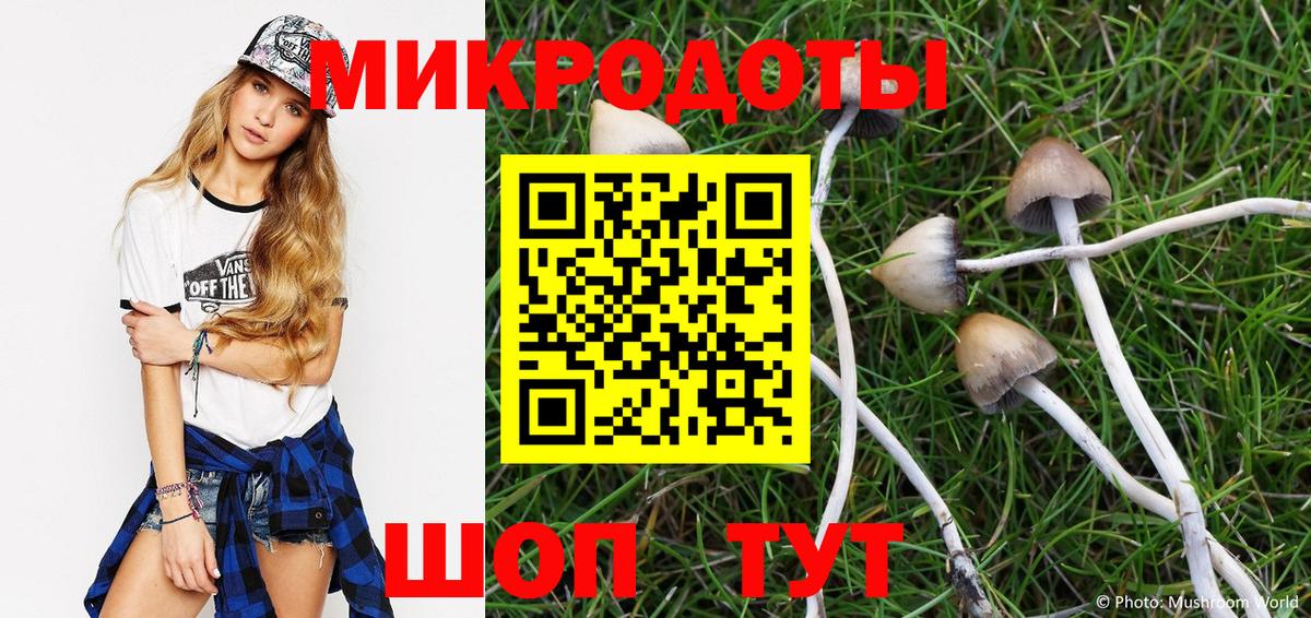Маркс  Галлюциногенные грибы Cubensis  Вход с VPN 