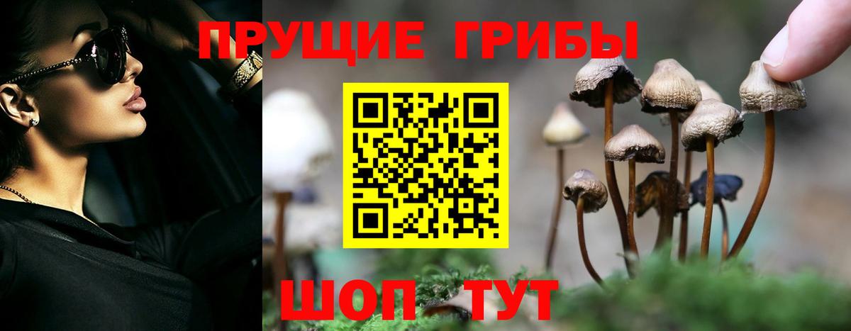 Галлюциногенные грибы Cubensis Маркс